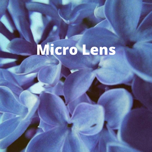 Wide & Macro Effect Lens